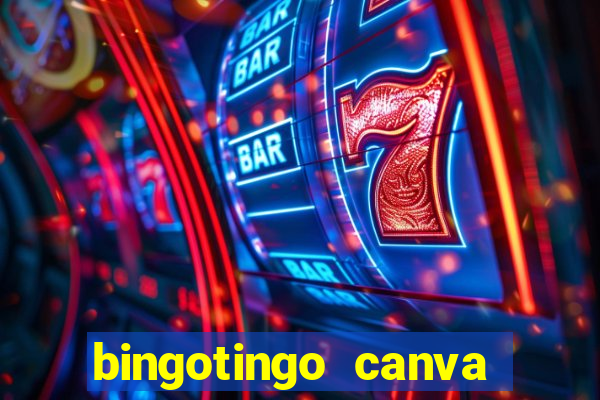 bingotingo canva pro gratis